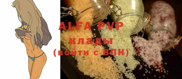 гашик Корсаков