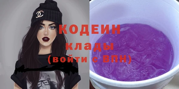 гашик Корсаков