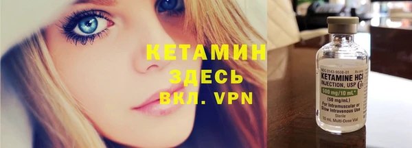 индика Краснослободск