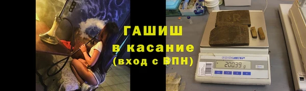 гашик Корсаков