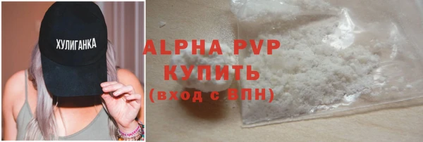 прущие грибы Козельск