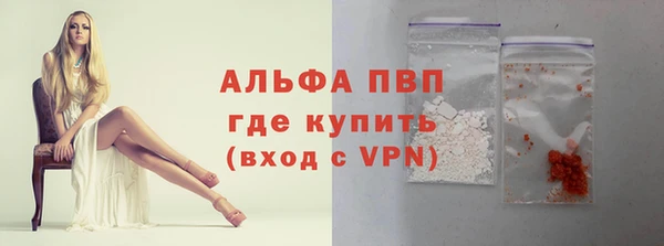 индика Краснослободск