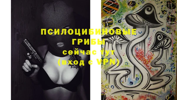 дживик Коряжма