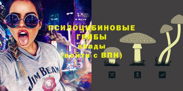 гашик Корсаков