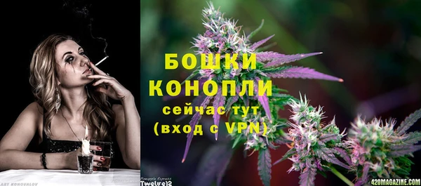 стаф Костерёво