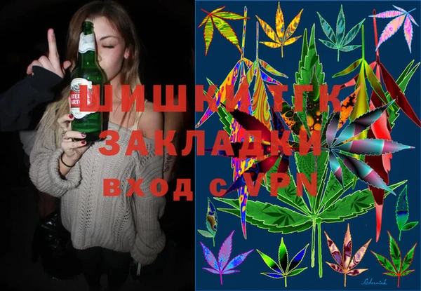 индика Краснослободск