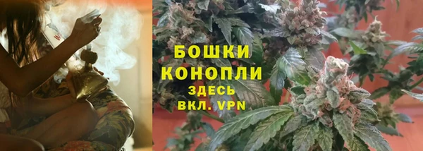 гашик Корсаков